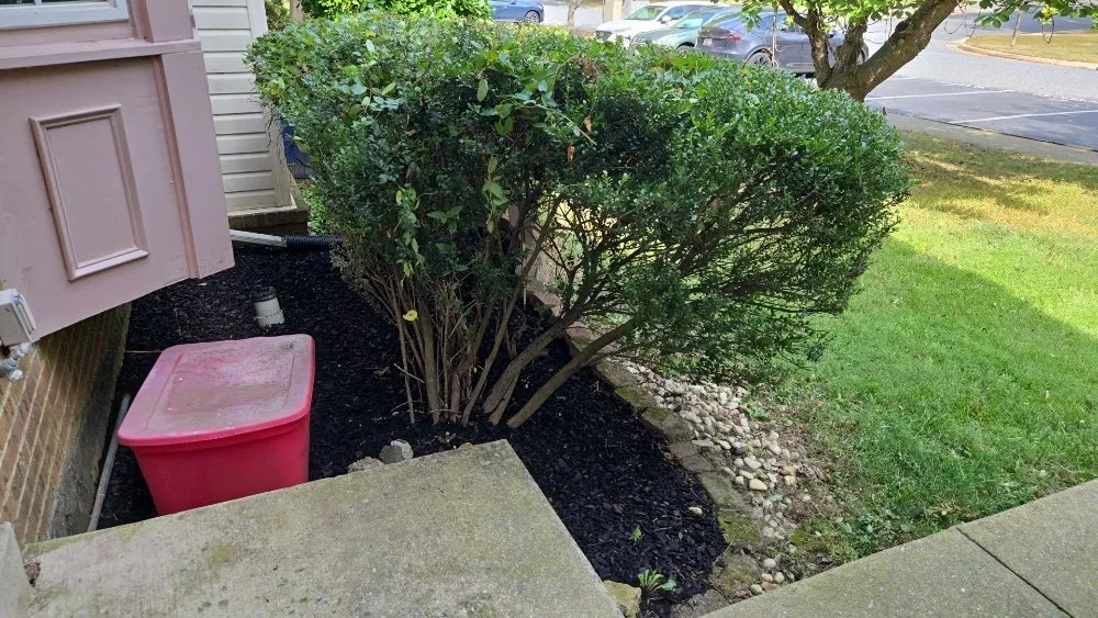 Expert outdoor landscaping experts serving Darnestown, MD - J.W Saravia Landscaping and Concrete Services