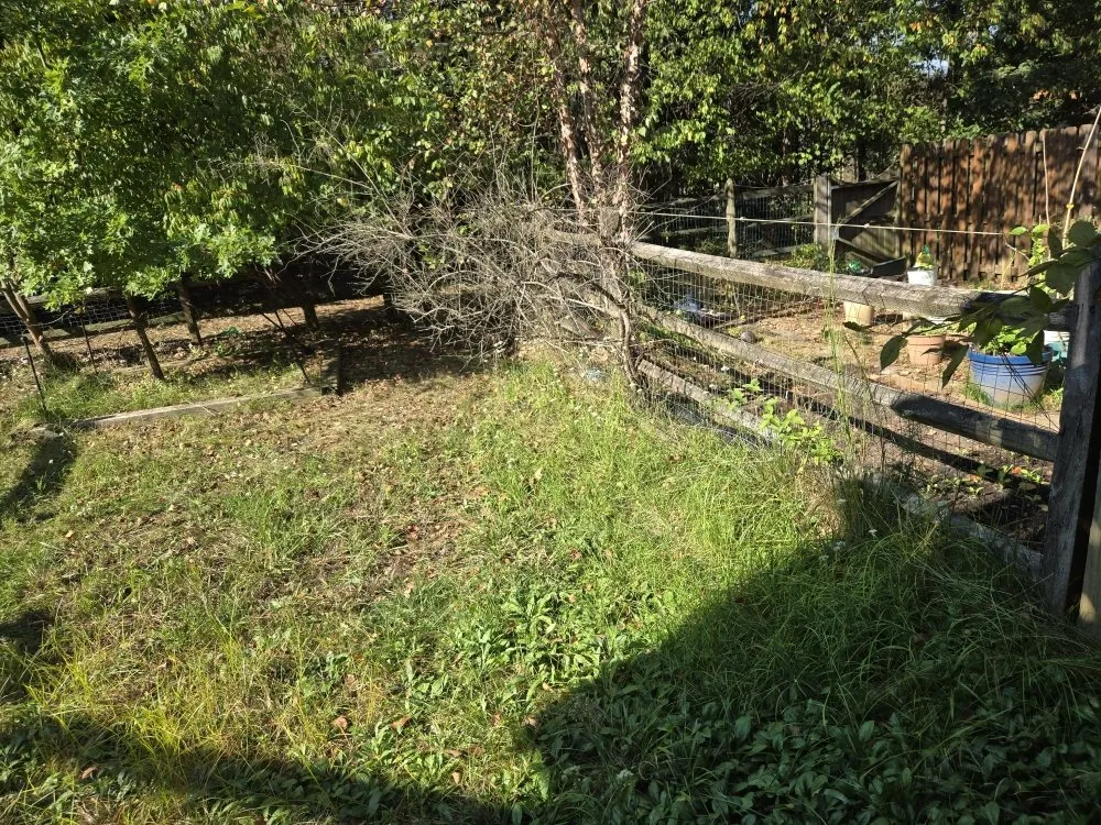 Trusted outdoor landscaping in Darnestown, MD - J.W Saravia Landscaping and Concrete Services