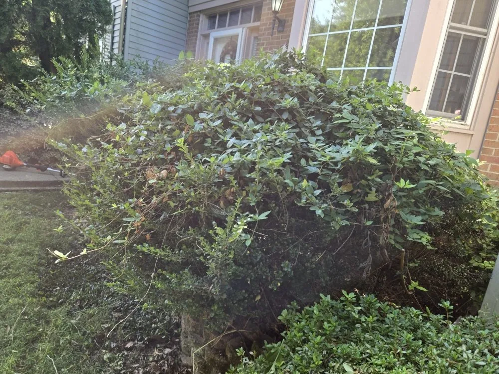 Custom yard maintenance experts serving Darnestown, MD - J.W Saravia Landscaping and Concrete Services