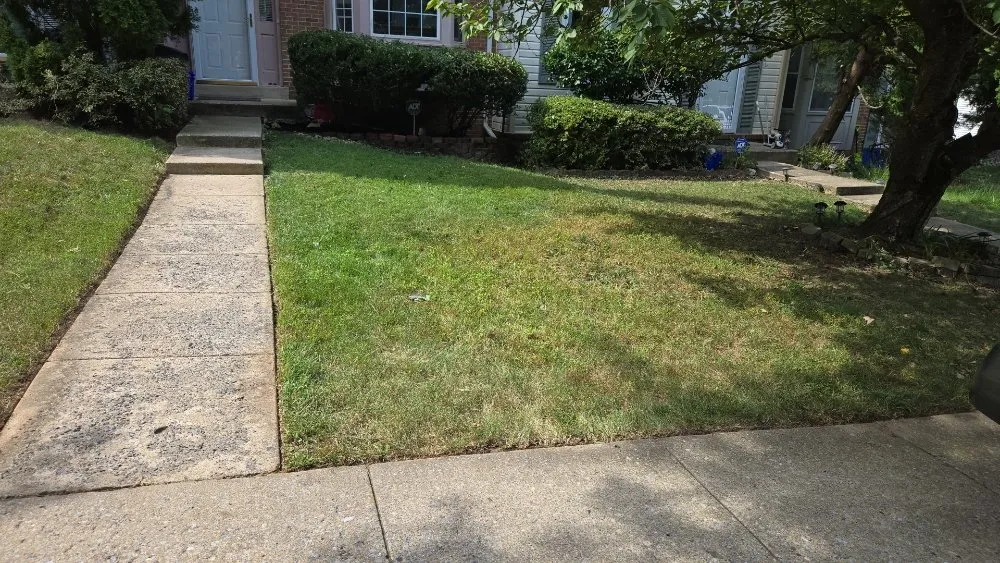 Professional outdoor landscaping in Darnestown, MD - J.W Saravia Landscaping and Concrete Services