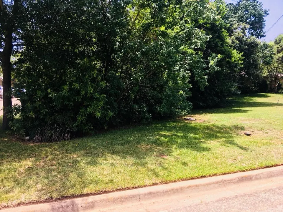 Reliable landscape design in Marshall, TX - JW Services