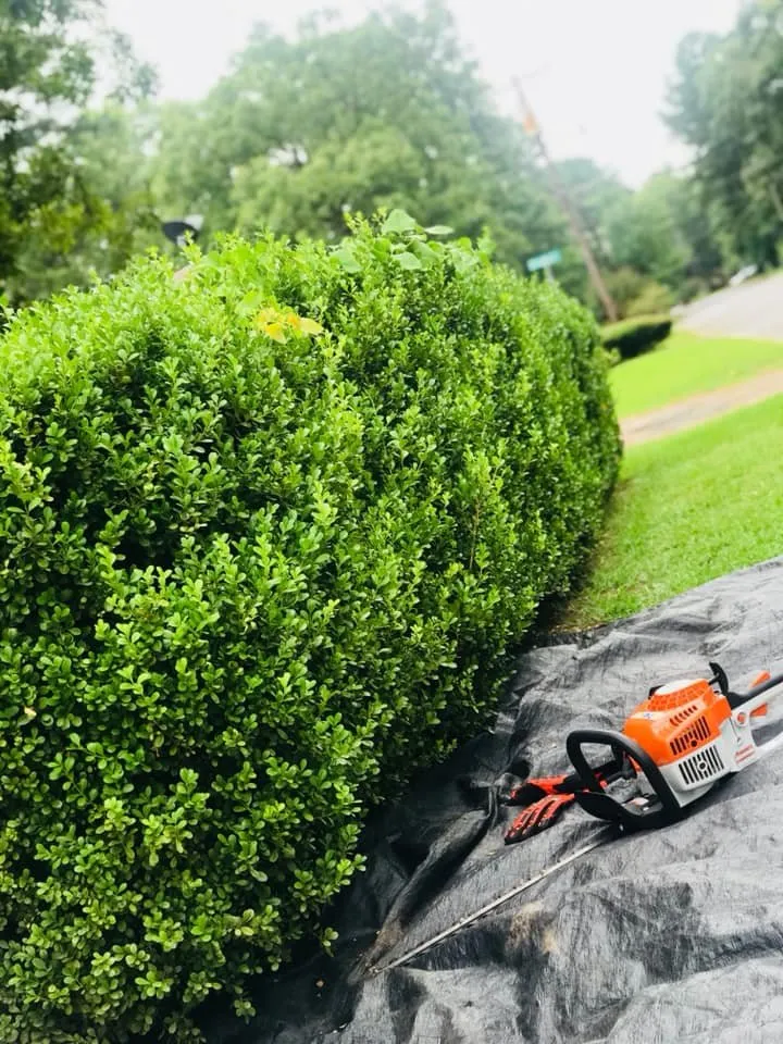 Reliable landscape installation for outdoor upgrades across Marshall, TX - JW Services