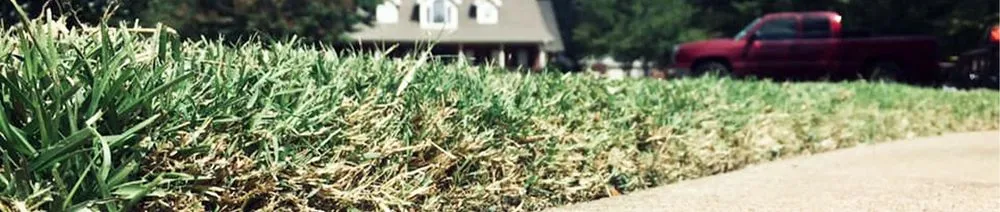 Expert lawn care service for year-round maintenance across Marshall, TX - JW Services