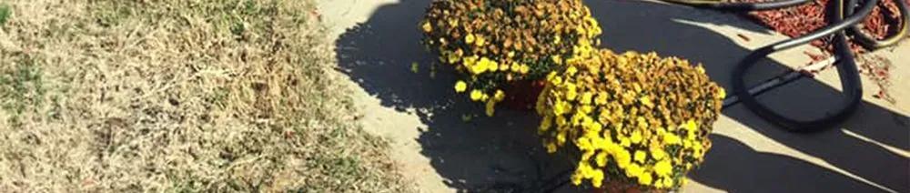 Reliable landscape design in Marshall, TX by JW Services