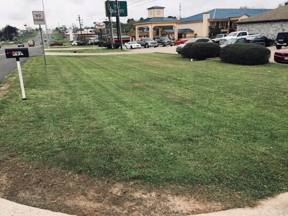 Expert yard cleanup service with custom design in Marshall, TX by JW Services