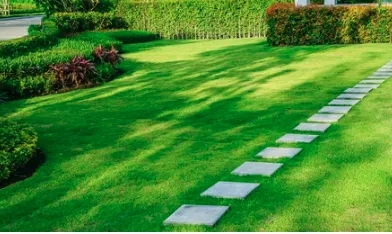 Professional lawn mowing service experts serving Sparks, NV - J&W Services