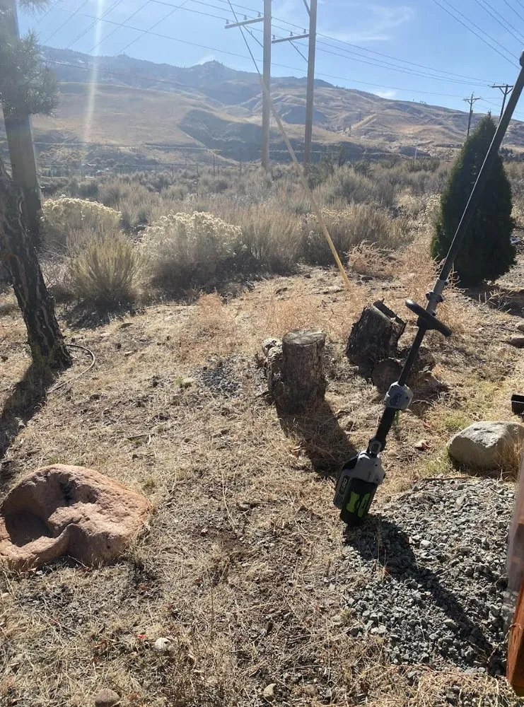 Local yard maintenance in Sparks, NV by J&W Services