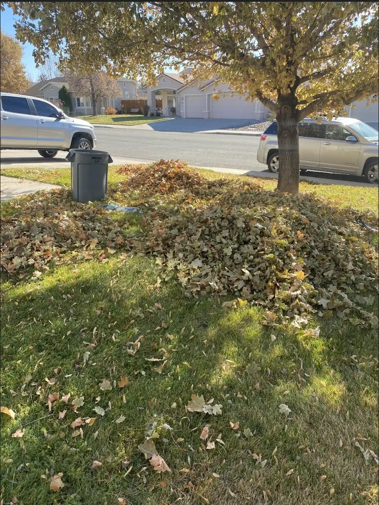 Top-rated landscaping services experts serving Sparks, NV - J&W Services