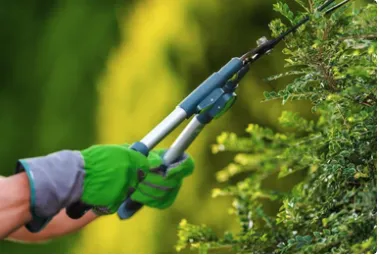 Local garden landscaping experts serving Sparks, NV - J&W Services