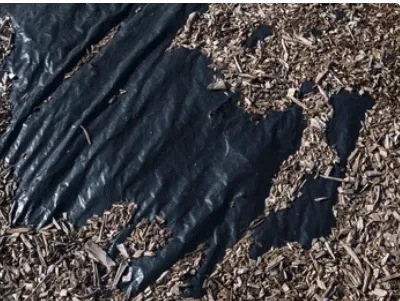 Local landscaping services in Sparks, NV - J&W Services