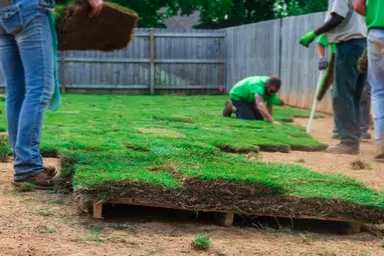 Local yard maintenance for residential properties in Sparks, NV by J&W Services