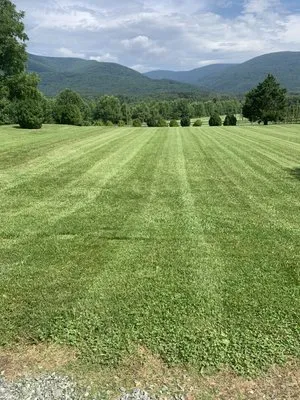 JW Smith Lawncare Logo