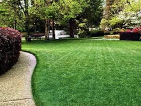 Local lawn mowing service in Youngstown, OH - Jw Solutions