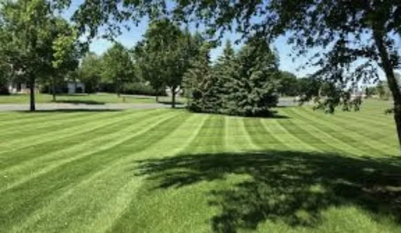 Trusted landscape design in Youngstown, OH by Jw Solutions