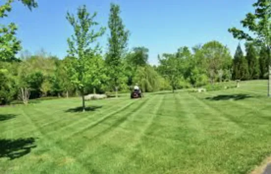 Custom lawn care service for year-round maintenance in Youngstown, OH by Jw Solutions