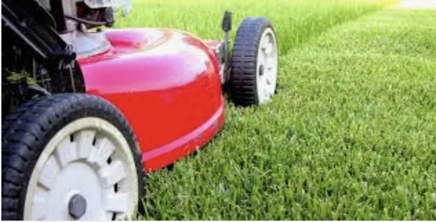 Professional yard maintenance for outdoor upgrades in Youngstown, OH by Jw Solutions