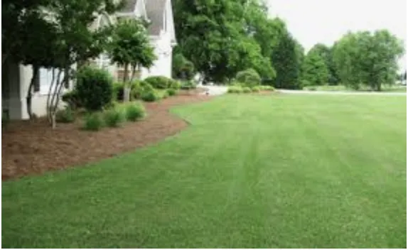Expert yard cleanup service experts serving Youngstown, OH - Jw Solutions