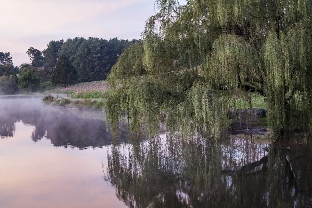 Affordable yard maintenance in Charlottesville, VA - JW Townsend - Landscape Contractor