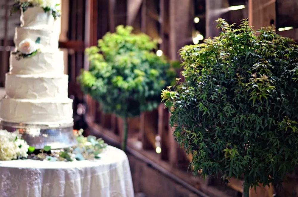 Trusted landscaping services in Charlottesville, VA - JW Townsend - Landscape Contractor