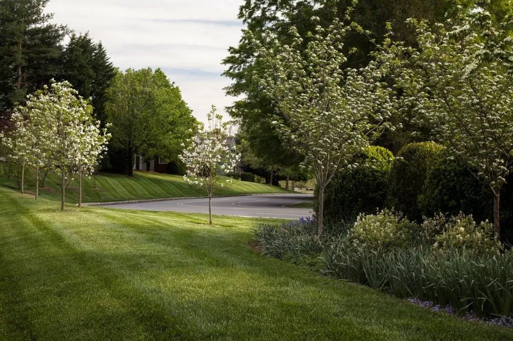 Reliable yard maintenance near you in Charlottesville, VA by JW Townsend - Landscape Contractor