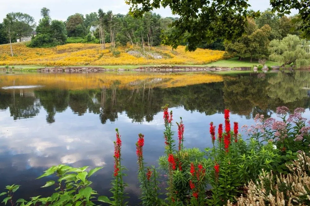 Local lawn mowing service experts serving Charlottesville, VA - JW Townsend - Landscape Contractor