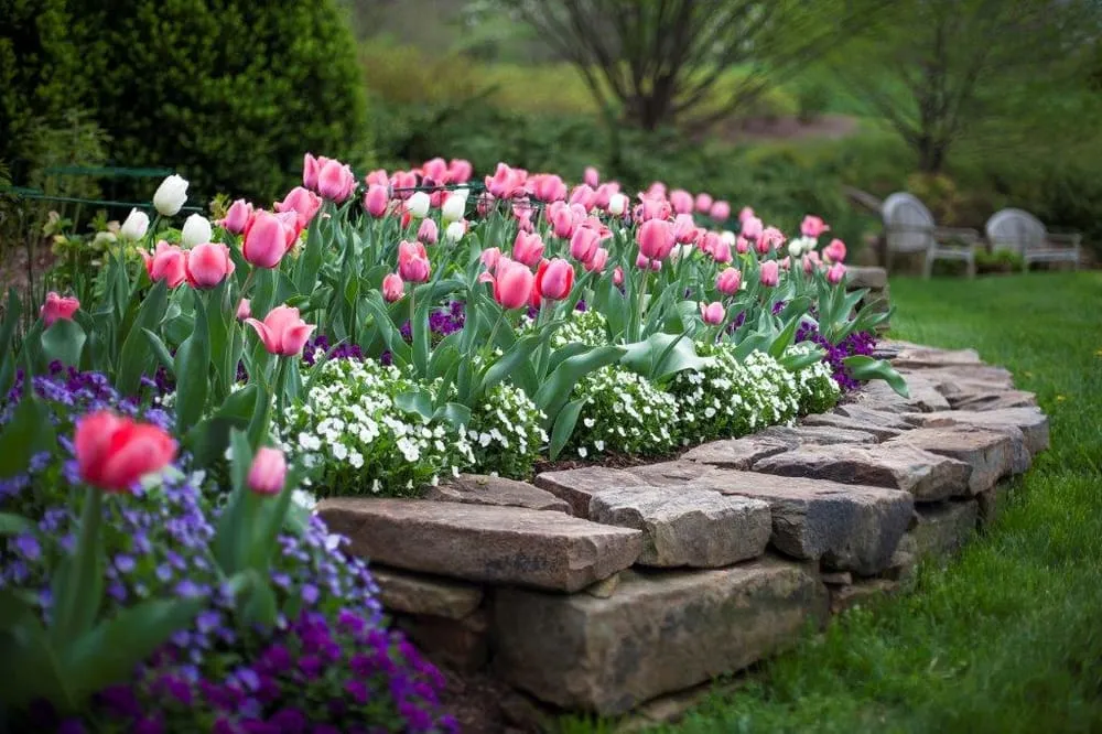 Trusted landscape design in Charlottesville, VA - JW Townsend - Landscape Contractor