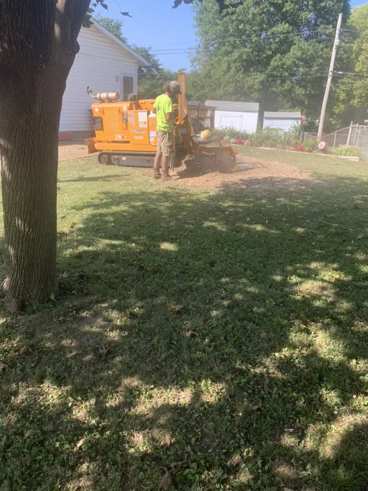 Reliable garden landscaping for outdoor upgrades in Festus, MO by JW Tree and Lawn Care