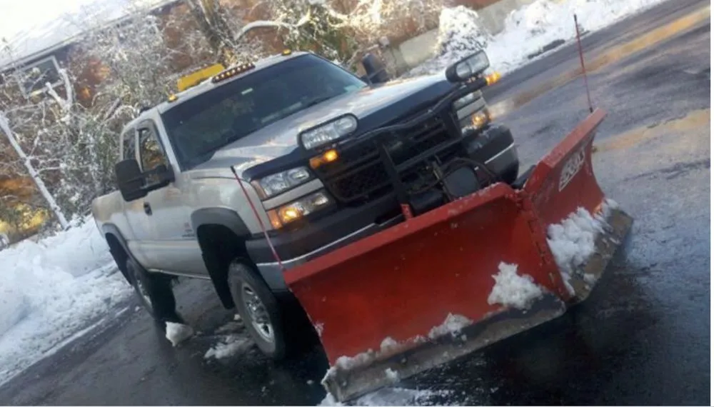 Professional yard maintenance in Denver, CO by JW Tree Care