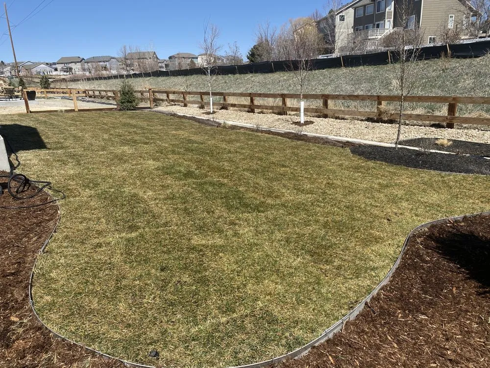 Custom yard cleanup service in Denver, CO by JW Tree Care