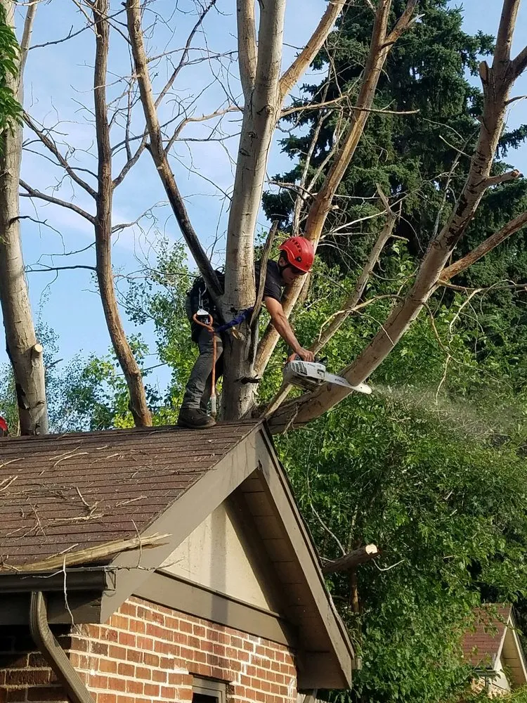 Professional garden landscaping experts serving Denver, CO - JW Tree Care