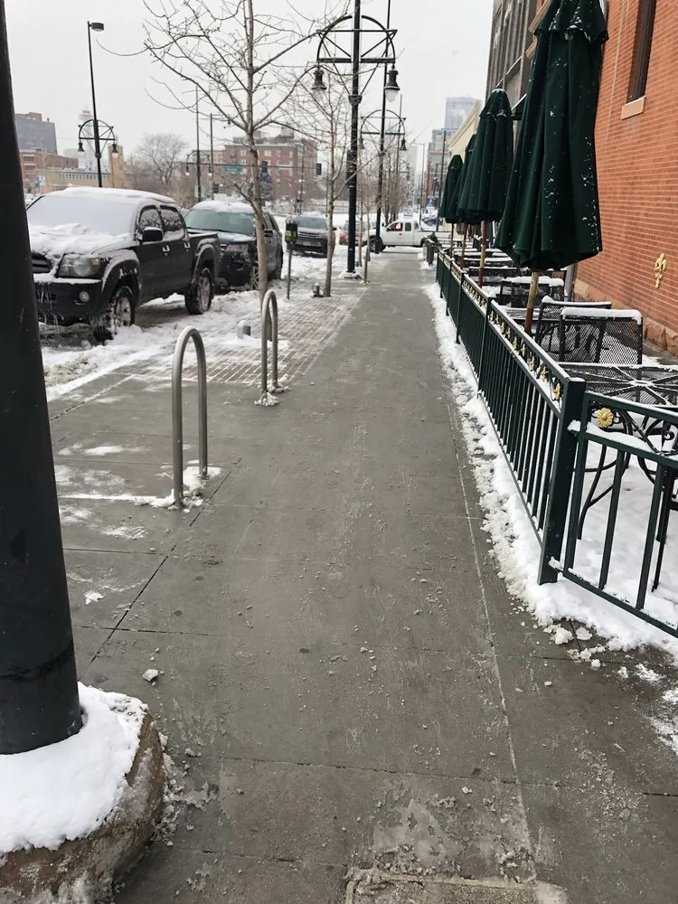 Custom landscape installation for year-round maintenance in Denver, CO by JW Tree Care