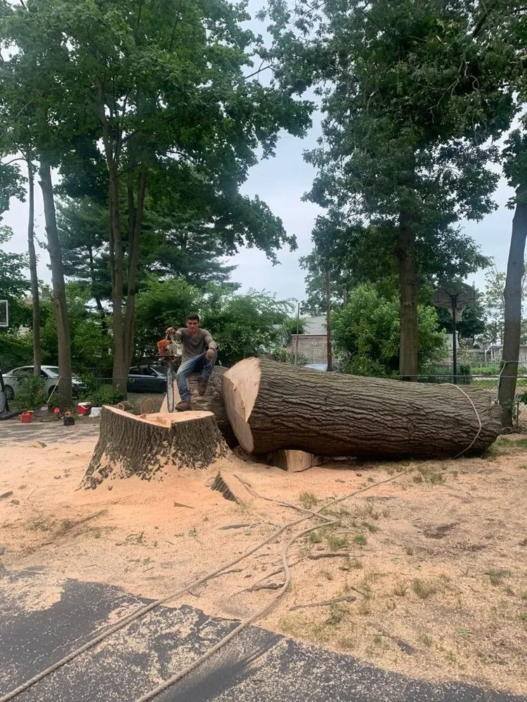 Local lawn care service near you in Bridgeport, CT by JW Tree Service