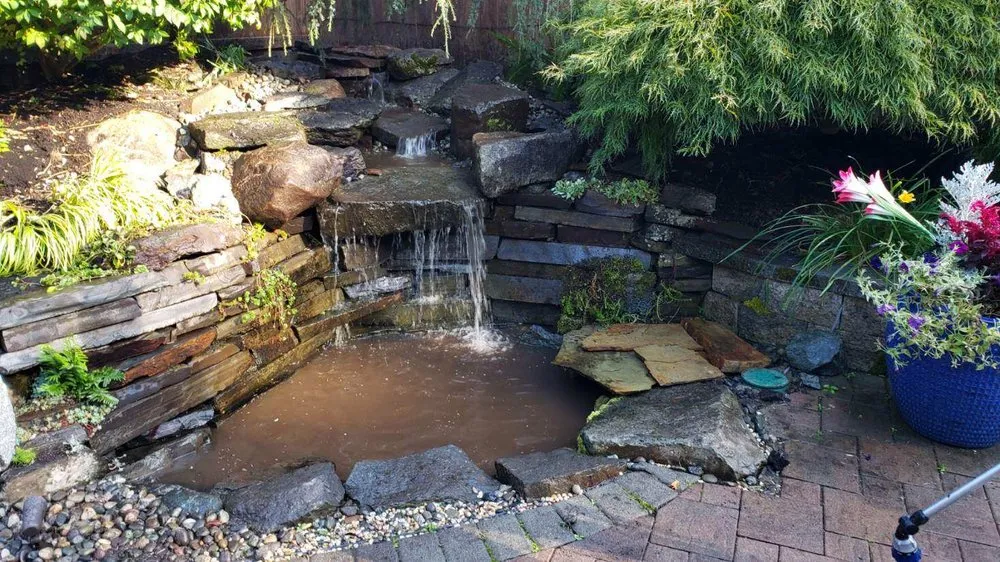 Trusted lawn care service experts serving Snohomish, WA - JW Water Features