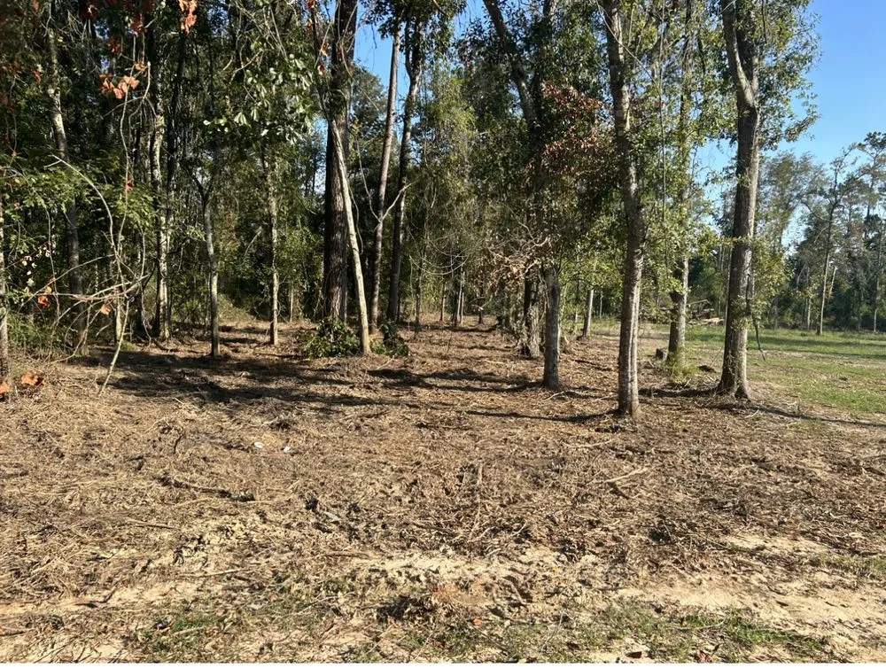 Trusted yard maintenance for homes across Albany, LA - JW2