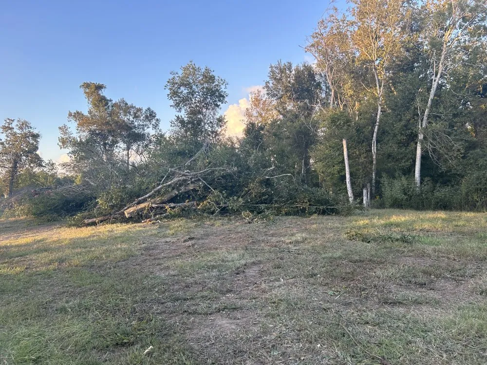 Expert residential landscaping for homes in Albany, LA by JW2