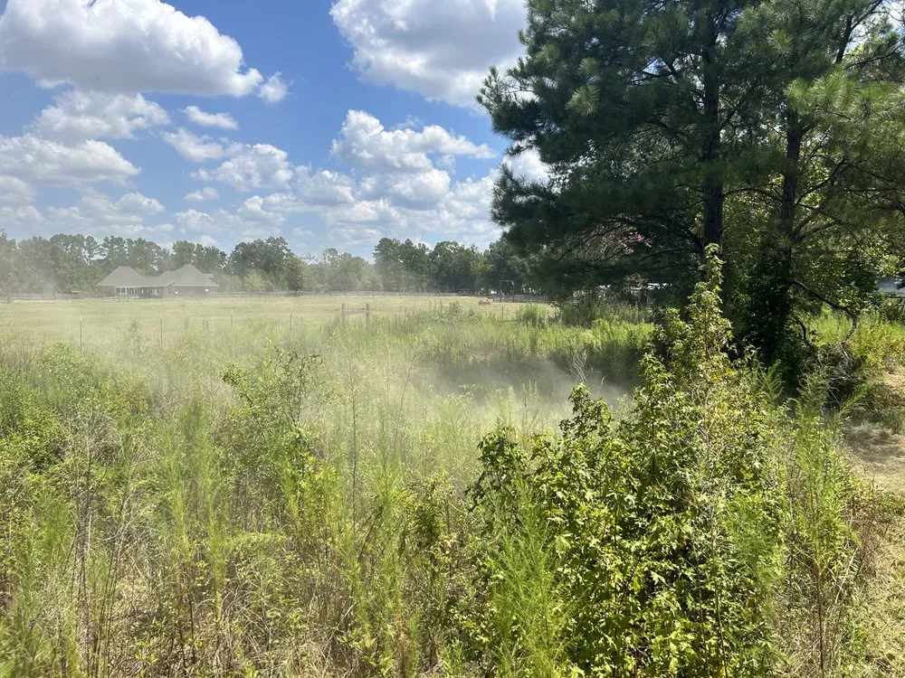 Custom outdoor landscaping in Albany, LA by JW2