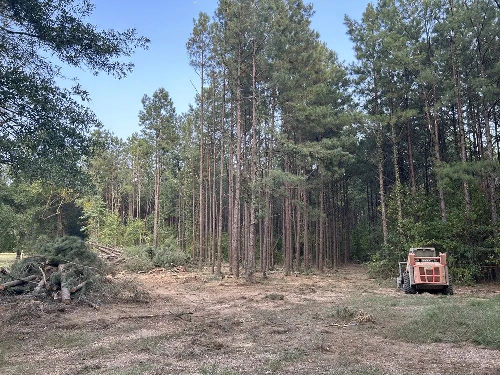 Expert landscaping services in Albany, LA - JW2