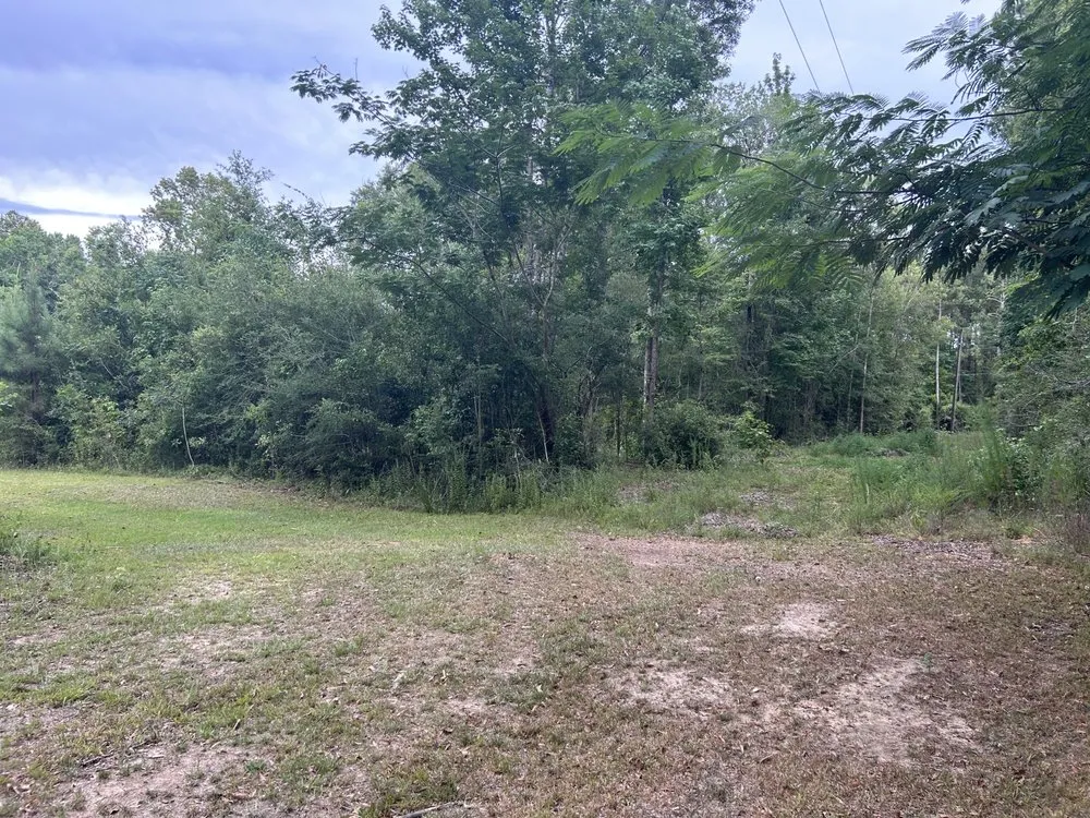 Expert lawn care service in Albany, LA by JW2