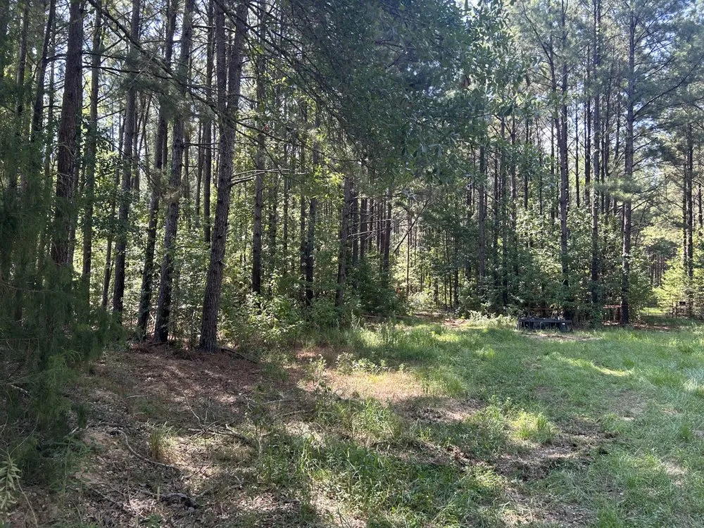 Top-rated yard maintenance for residential properties across Albany, LA - JW2