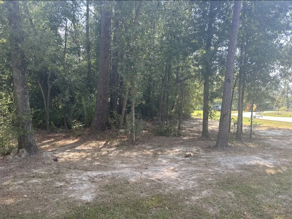 Top-rated yard cleanup service in Albany, LA - JW2