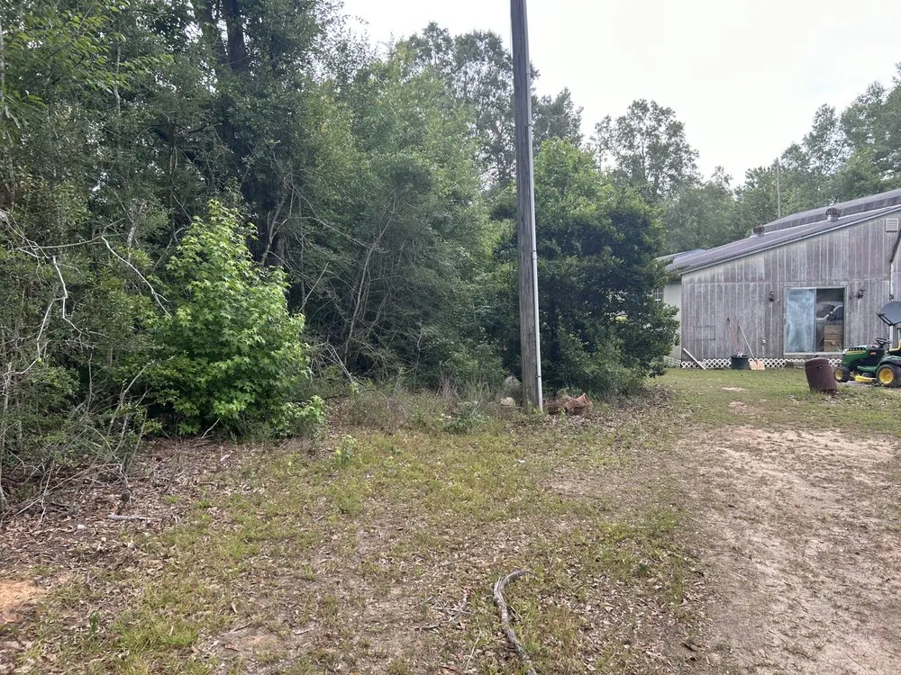 Local landscaping services for year-round maintenance in Albany, LA by JW2