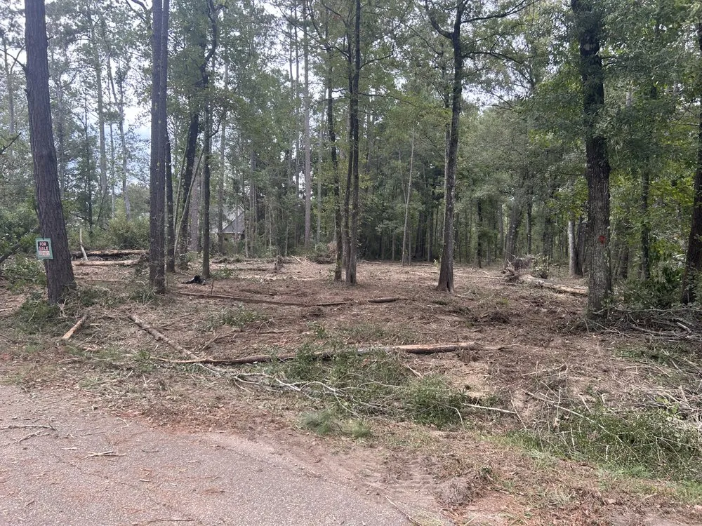 Expert lawn care service in Albany, LA - JW2