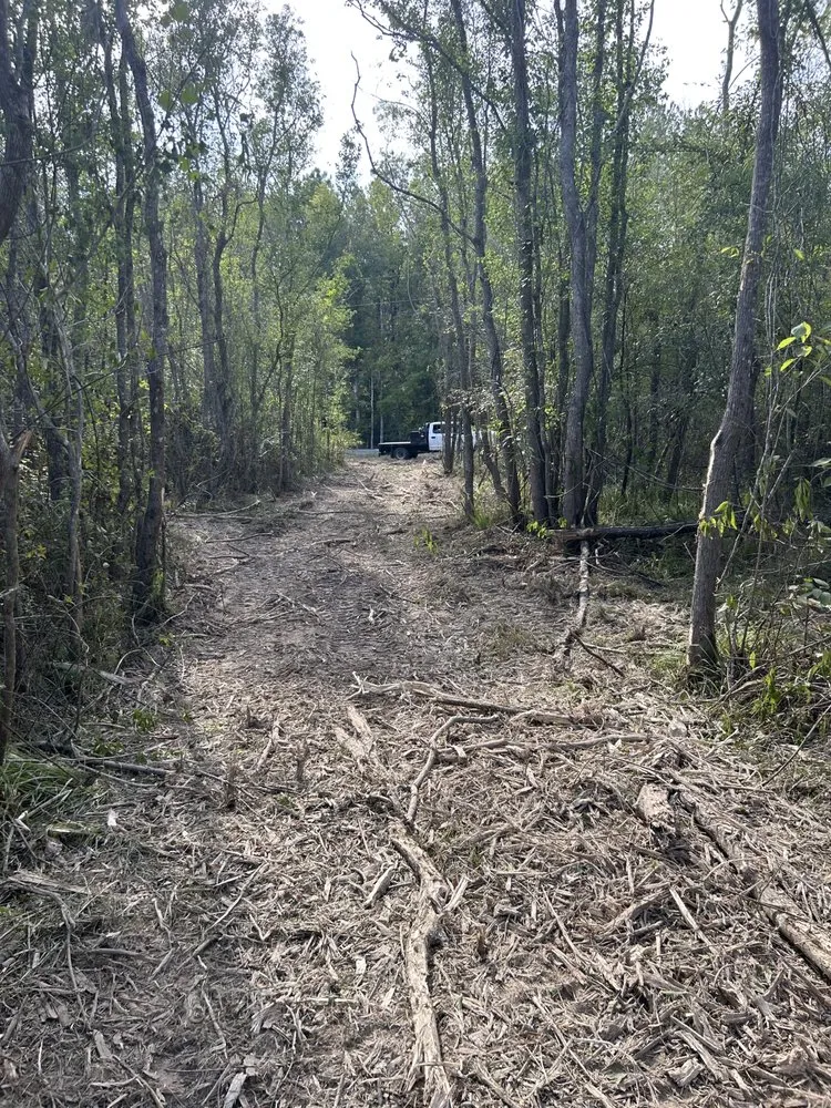 Local yard maintenance for year-round maintenance across Albany, LA - JW2