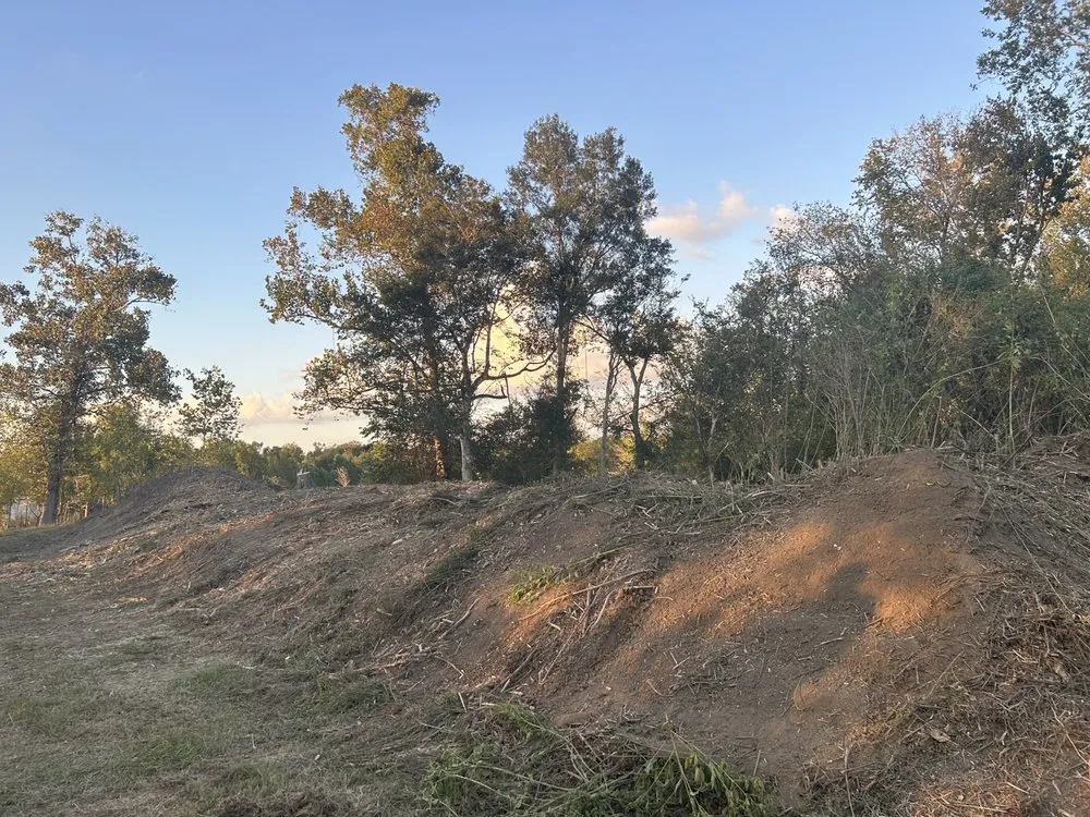 Trusted garden landscaping for year-round maintenance across Albany, LA - JW2