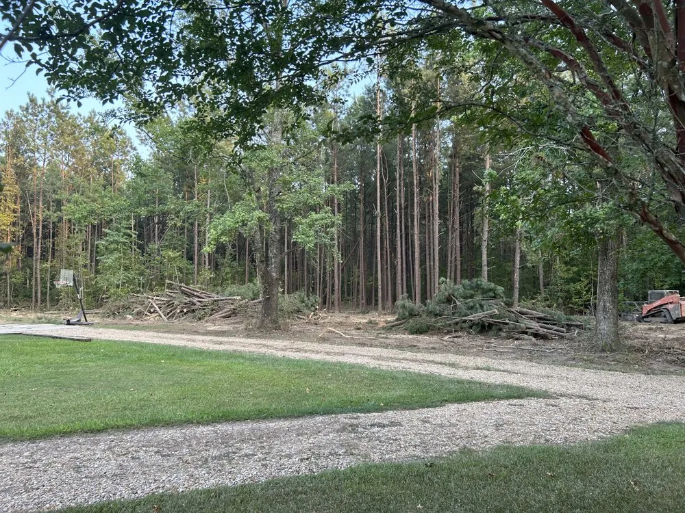 Reliable residential landscaping in Albany, LA by JW2