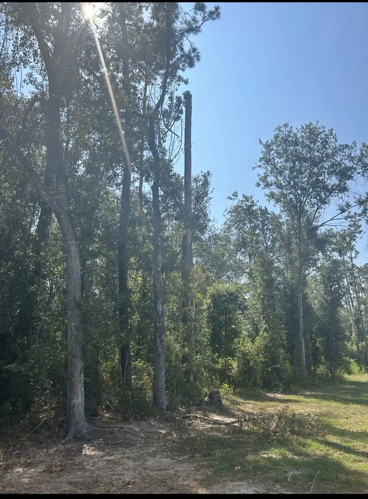 Expert garden landscaping in Albany, LA by JW2