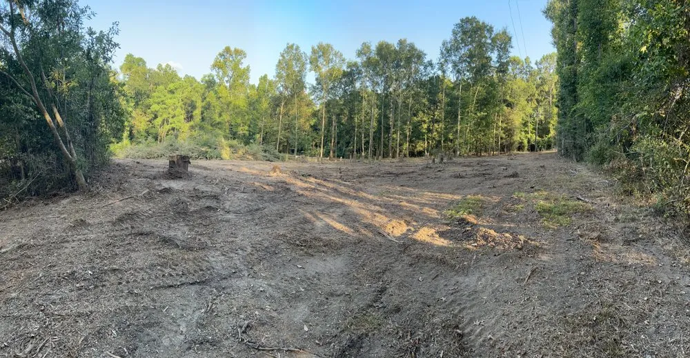 Top-rated landscape installation in Albany, LA - JW2