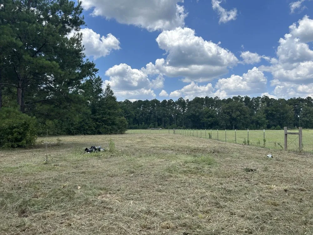 Expert residential landscaping experts serving Albany, LA - JW2