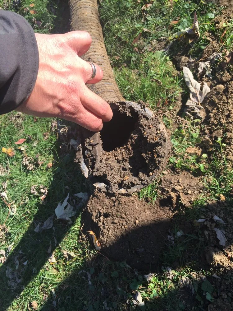 Local yard cleanup service for year-round maintenance across Algonquin, IL - JWB Home Solutions