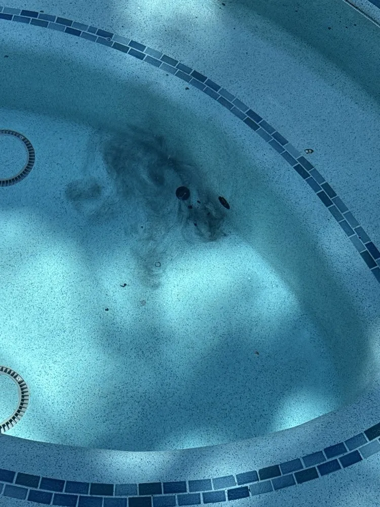 Top-rated yard maintenance for beautiful yards across La Mesa, CA - JWB Pools